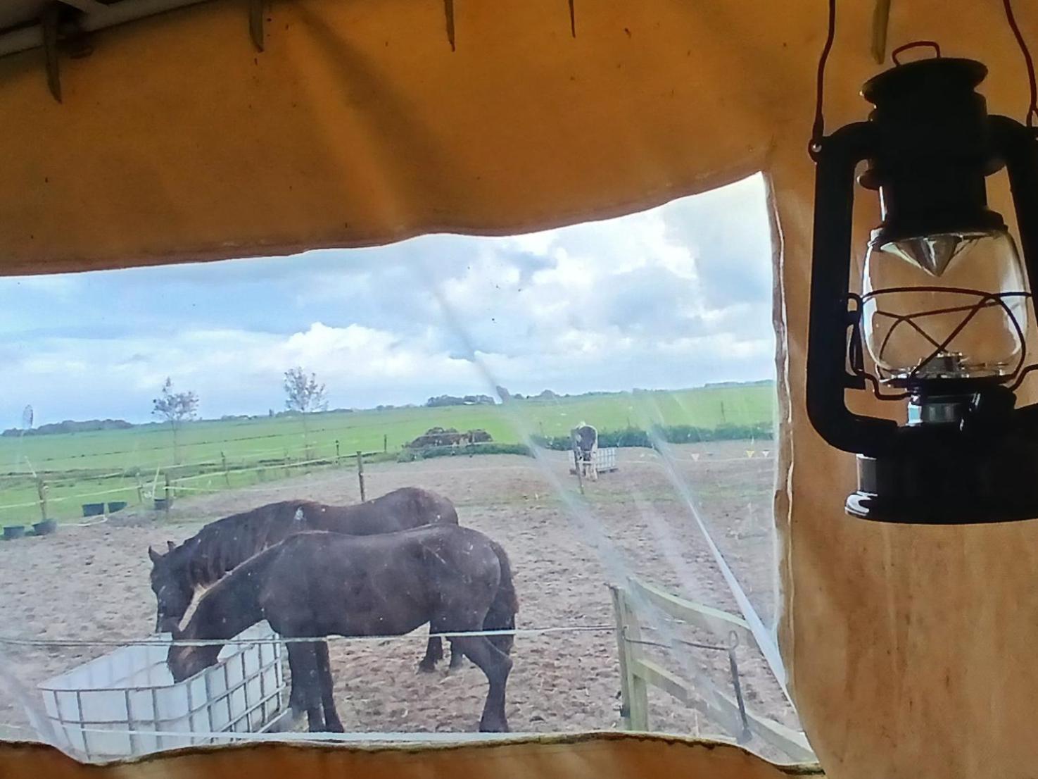 De Huifkar, Trekkershut Bij Sneek Hotel Hommerts ภายนอก รูปภาพ