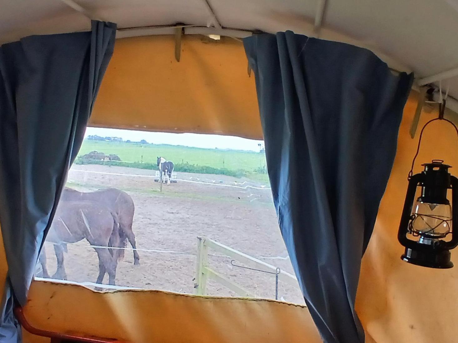De Huifkar, Trekkershut Bij Sneek Hotel Hommerts ภายนอก รูปภาพ