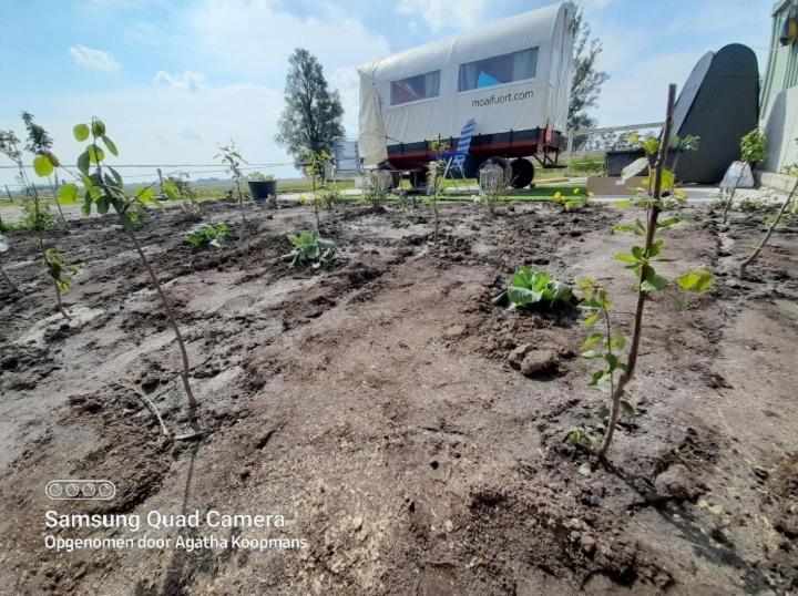 De Huifkar, Trekkershut Bij Sneek Hotel Hommerts ภายนอก รูปภาพ